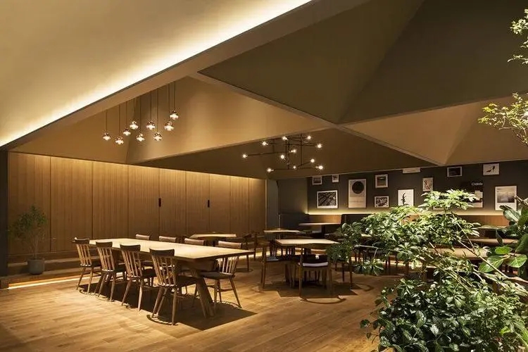 餐飲設計：塑造獨特空間，吸引食客目光